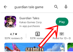 How To Fix Guardian Tales Platform Error 500 step 7