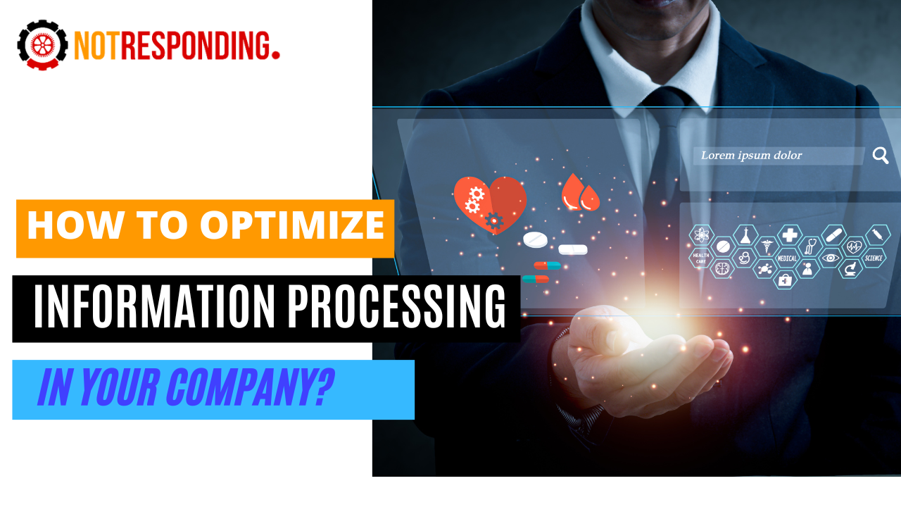 how to optimize information processing in your company